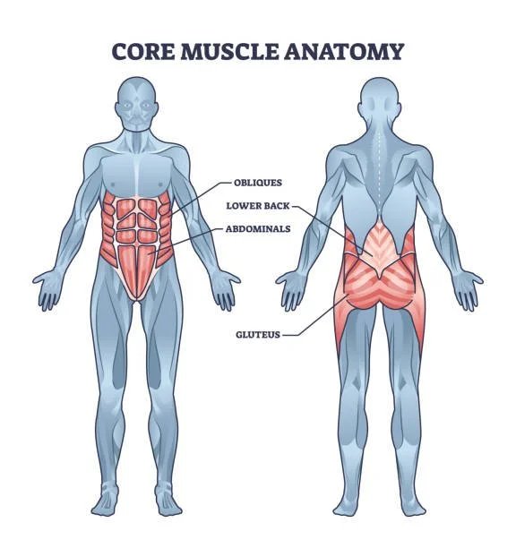 Core Stability vs Core Strength: Why a Strong Core Isn’t Always a Stable One