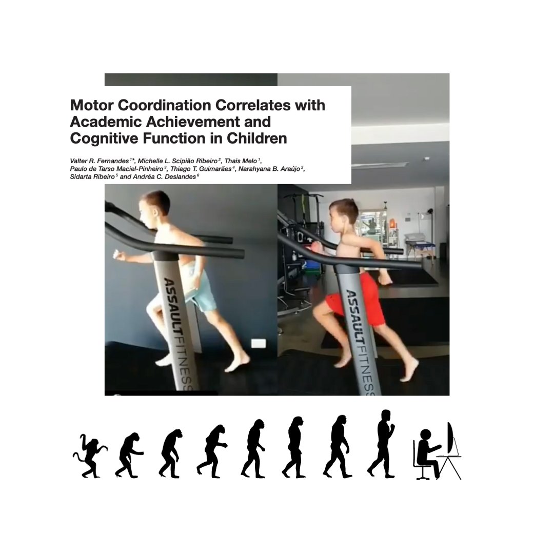 Rediscovering Kinesthetic Intelligence: A Lost Dimension of Learning