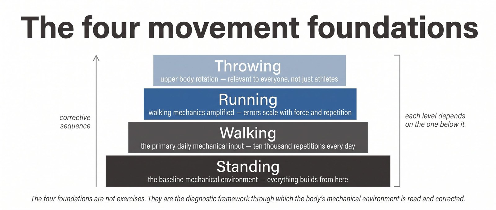 The Four Movement Foundations — And Why Everything Starts Here