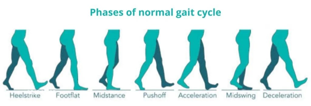 Best exercises for glute activation — The Key To Achieving Maximum Glute Activation