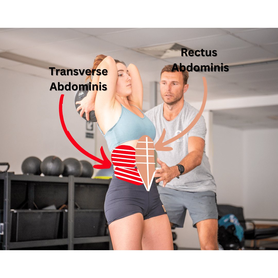 The Transverse Abdominis (TVA) vs the Superficial Abs (6 Pack): Why It's Crucial To Know The Difference