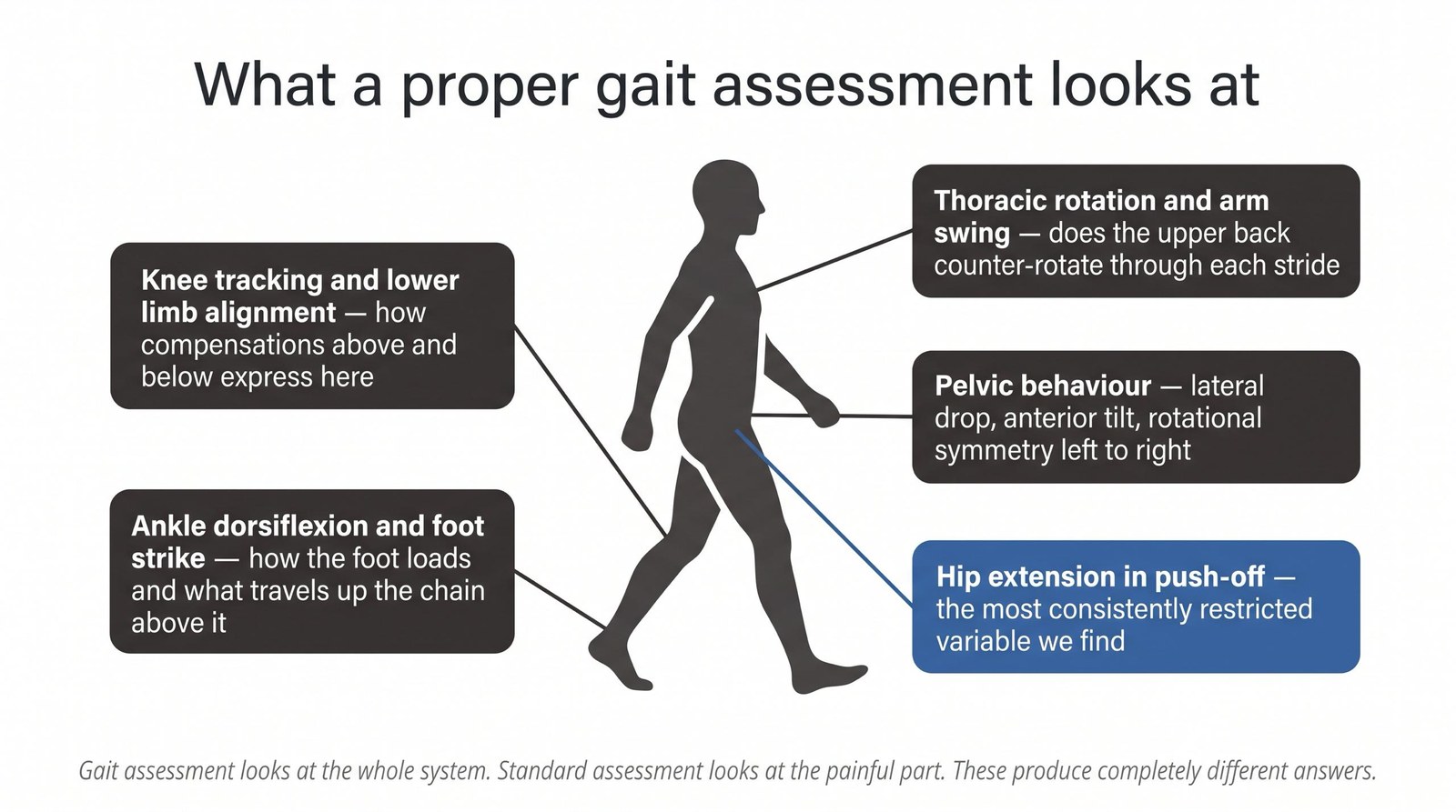 What Gait Analysis Actually Involves: And What We Find