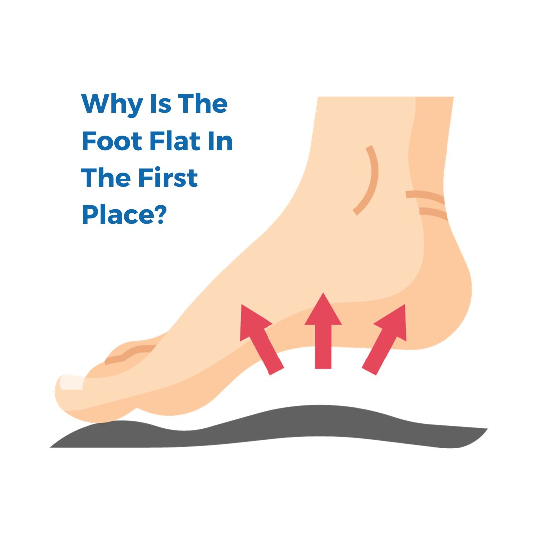 Why Orthotics are Not a Permanent Solution: A Dive into Biomechanics and Homeostasis