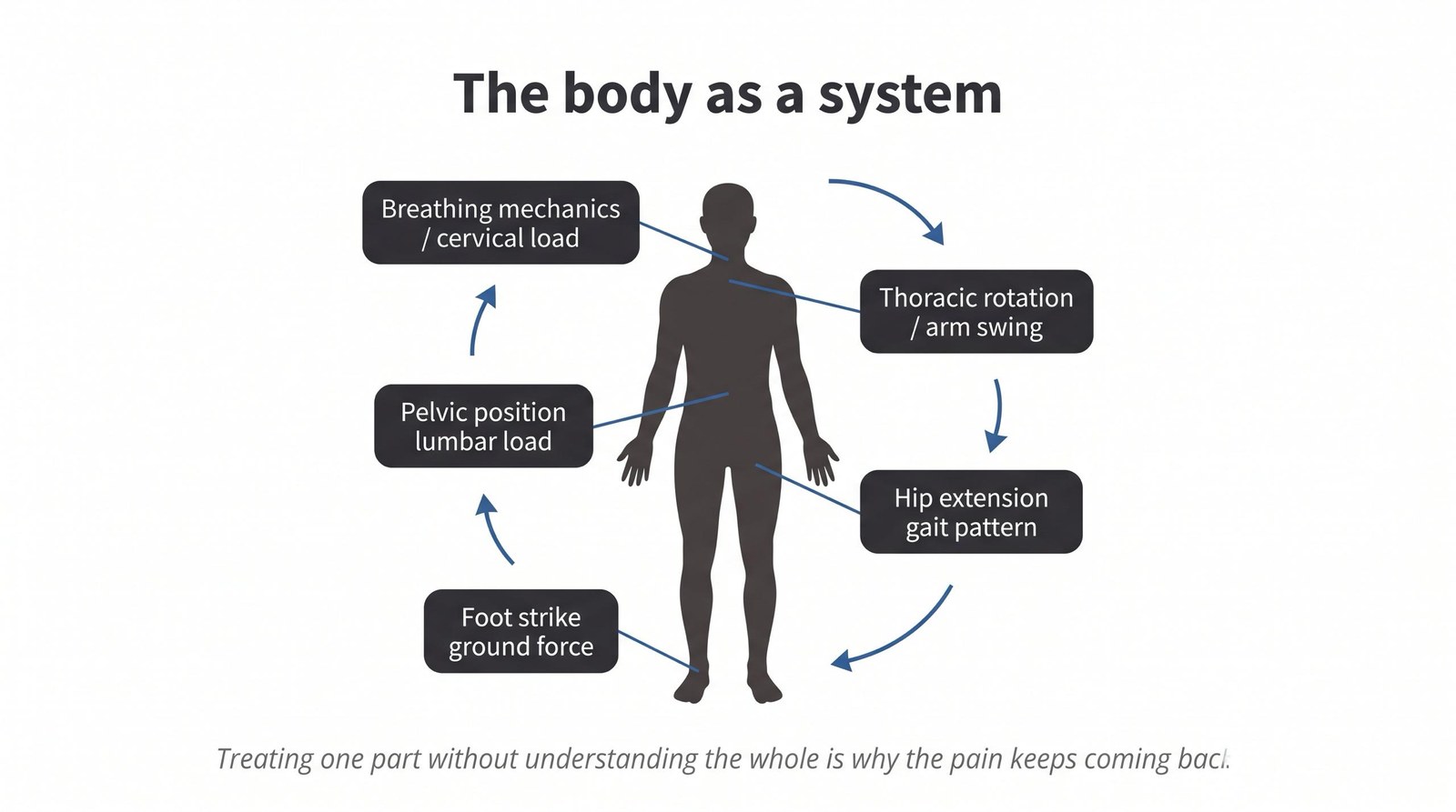 Why the Way Your Body Moves Is the Answer to Your Pain